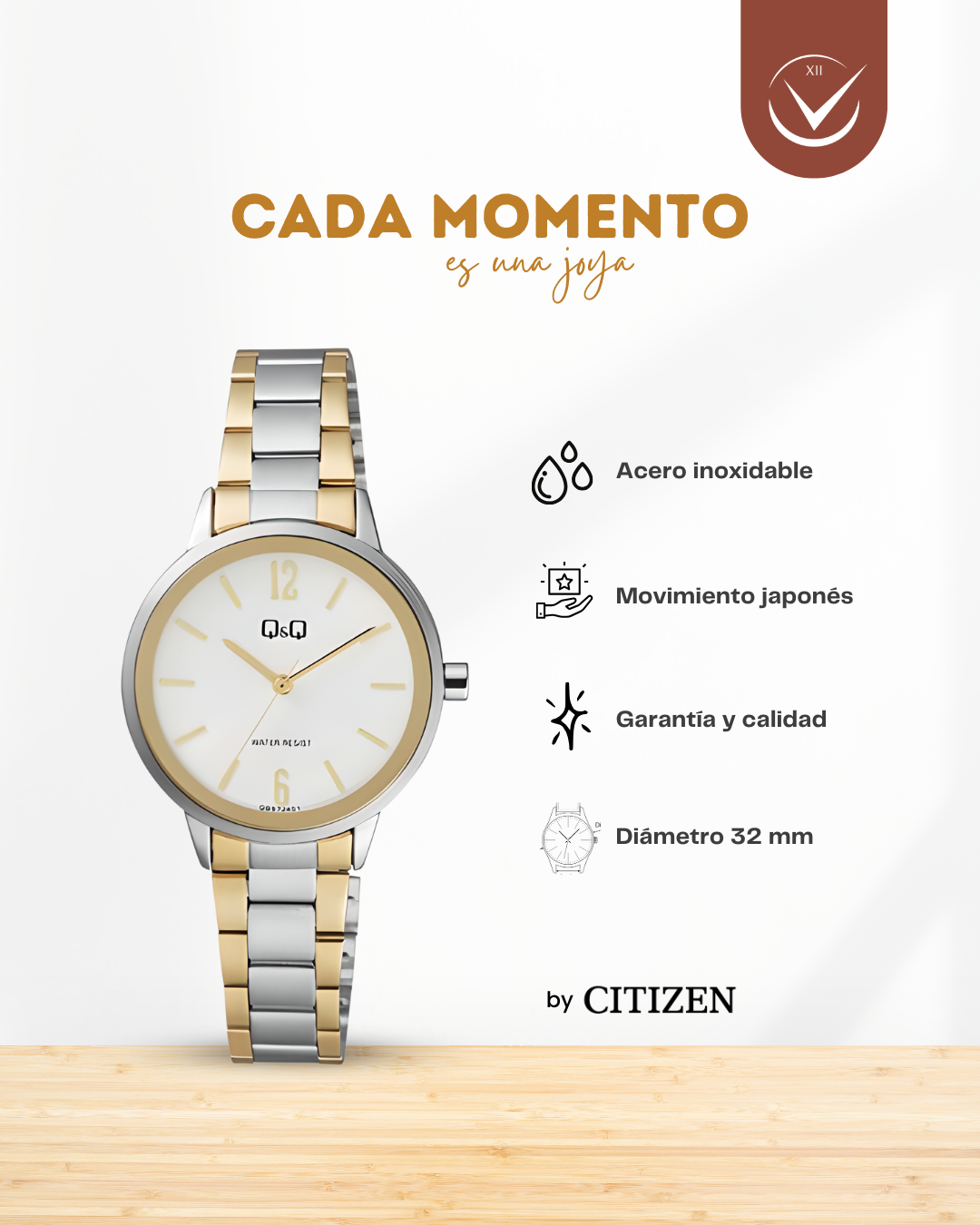 Reloj Q&Q Mujer QB97J401Y Plateado-Dorado Elegante