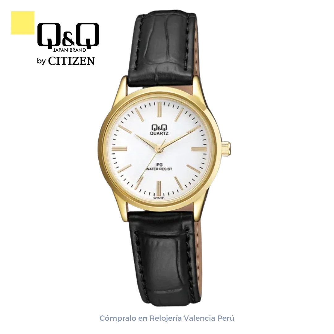 Reloj Q&Q Mujer C215J101Y Correa Negro