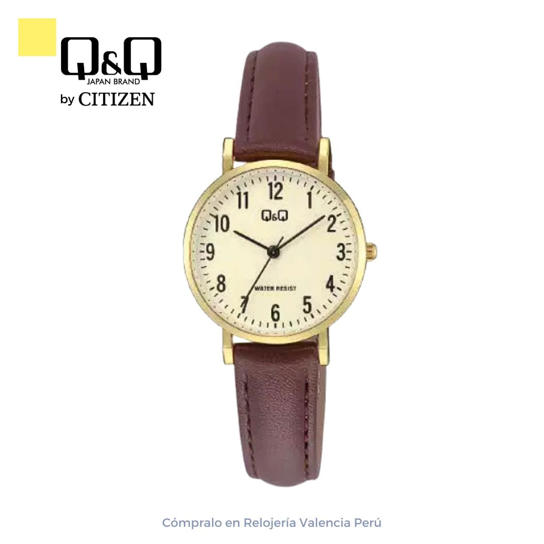 Reloj Q&Q Mujer C66A-001PY de vestir