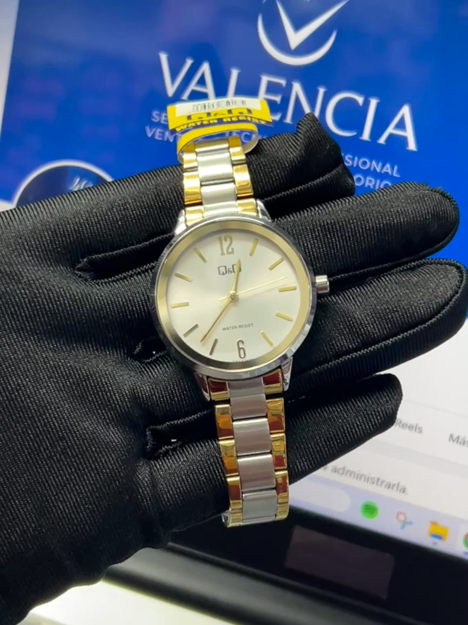 Reloj Q&Q Mujer QB97J401Y Plateado-Dorado Elegante